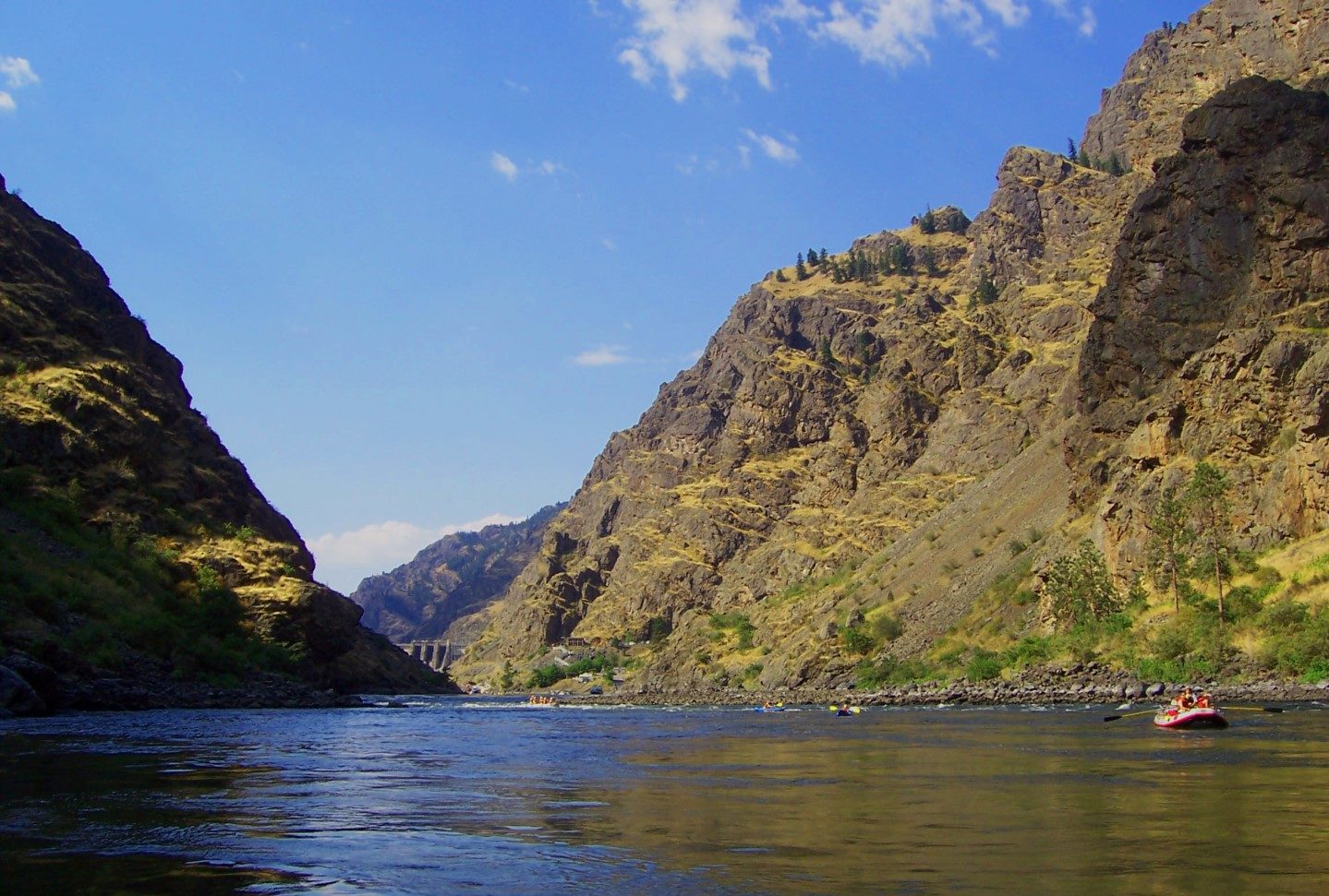 Hells Canyon Topo Map ID, Idaho County (Squirrel Prairie Area)